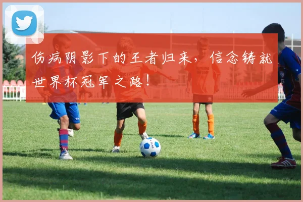 伤病阴影下的王者归来,信念铸就世界杯冠军之路!