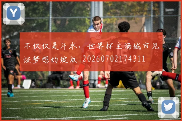 不仅仅是汗水,世界杯主场城市见证梦想的绽放_20260702174311