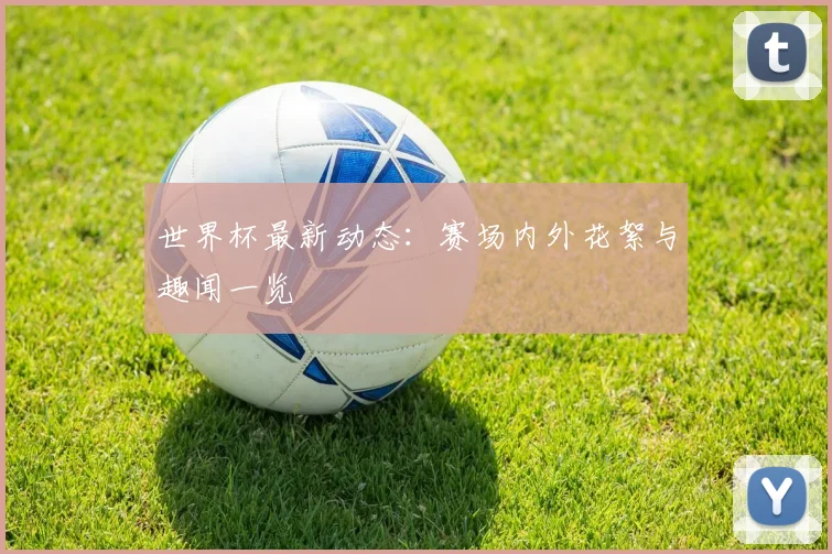 世界杯最新动态:赛场内外花絮与趣闻一览