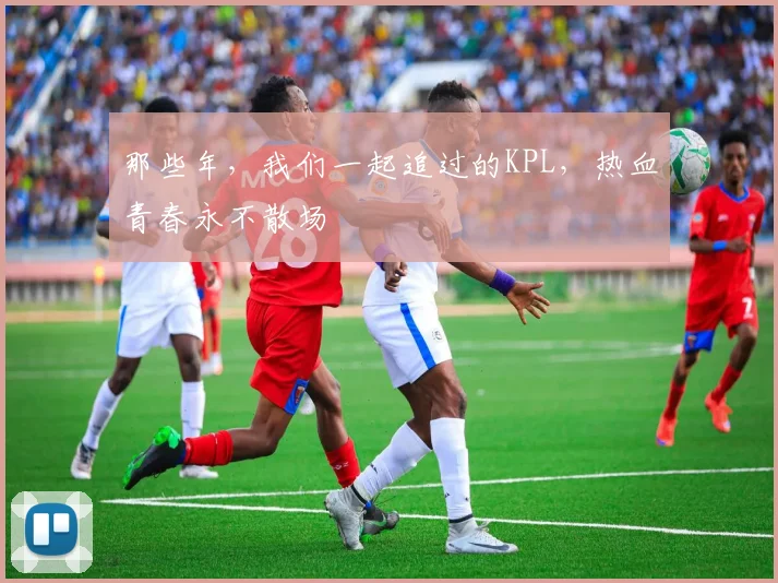 那些年,我们一起追过的KPL,热血青春永不散场